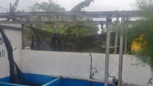 50 Ekor Penyu di Wisata Konservasi Mapak Indah Mataram Terbawa Abrasi