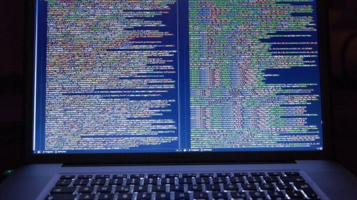Keamanan Siber: Kebocoran Data di Internet Kemungkinan Bisa Dicegah Lewat Empat Cara Ini