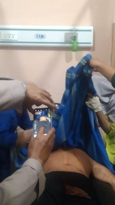 Harimau Sumatera Menerkam Petani di Lampung Barat
