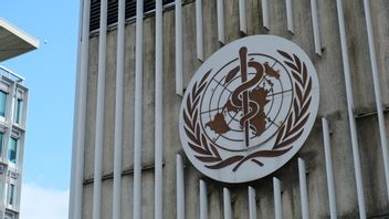 WHOはタリバンに地震後の女性支援労働者の制限を解除するよう求めた