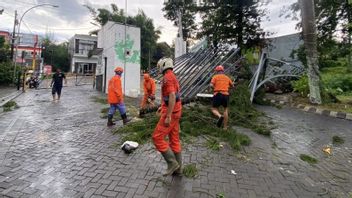 大雨伴随着大风,在玛琅市造成破坏