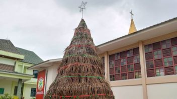 Lift The Theme Of Environmental Friendly, The Church In Babel Bangun Natal Tree From Sawit Leaves 4 Meters High
