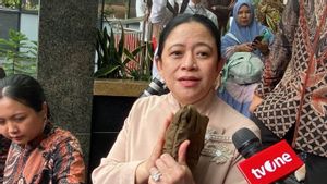 Harga Plastik Melonjak, Puan Minta Pemerintah Cari Solusi Penggunaan Kemasan Alternatif