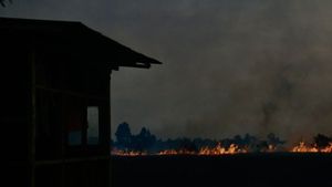 Penampakan Karhutla Nyaris Lahap Pondok Pemilik Lahan di Kota Banjarbaru