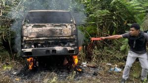 OPM Kembali Berulah, Aniaya Sopir Truk hingga Tewas di Papua Pegunungan