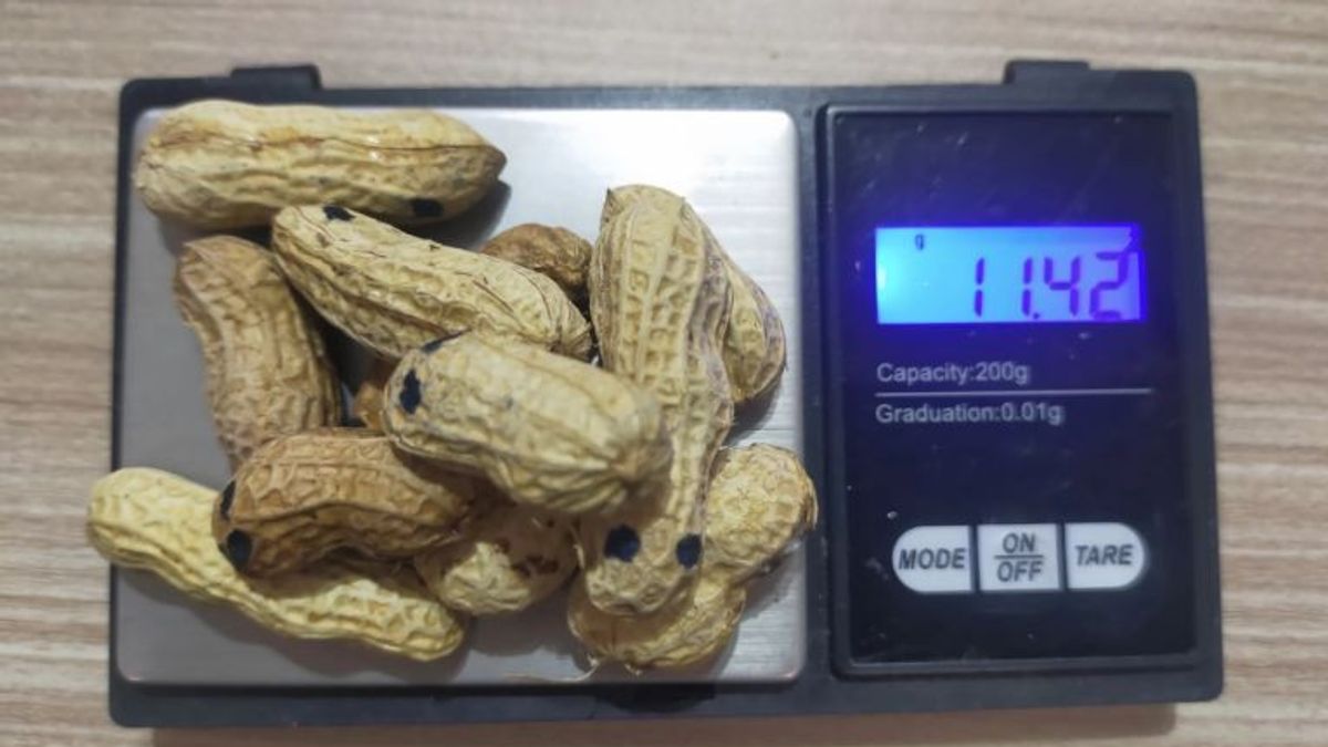 Polisi Bongkar Modus Peredaran Sabu dalam Kacang Kulit