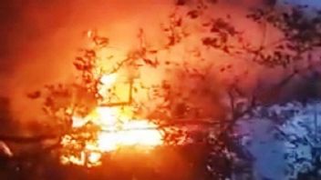 Darsih, Seorang Warga Kotawaringin Timur Tewas Terbakar Bersama Gubuknya di Pulau Terpencil