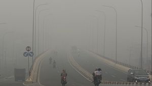 Target Menurunkan Emisi, Jokowi Luncurkan Perpres Pajak Karbon 