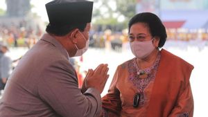 Beda dengan Desmond, Ketua Harian Gerindra Dasco Anggap Pertemuan Prabowo-Megawati Penting