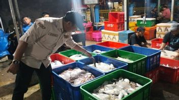 DKP جنوب كاليمانتان يقدم 2.1 طن من الأسماك لمساعدة معلمي Sekumpul