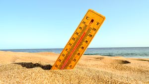Migrain hingga Heatstroke, 6 Penyakit yang Muncul Akibat Cuaca Panas 
