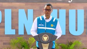 PLN Boss Ensures Electricity In IKN Is 100 Percent EBT Until The Next 20 Years