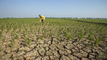 预计干旱影响,纪伯伦·拉卡布明将与若干地区协调