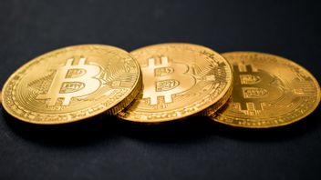 Bitcoin Bukan Safe Haven, Tapi Cuanin Portofolio