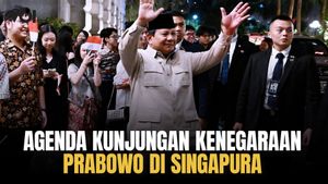 President Prabowo's Series Of Activities In Singapore