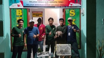 The Southeast Sulawesi BKSDA Failed The Smuggling Of Kangaroo And Cendrawasih Birds