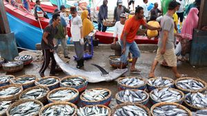 Produksi Ikan Diproyeksikan Tembus 1,73 Juta Ton saat Ramadan hingga Idulfitri 2026