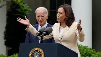 Biden's Substitute, Kamala Harris, Has No Digital Assets, This Is The Impact On The Crypto Market!