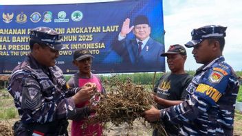 TNI AL يدعي أنه يمكنه حصد 2-4 أطنان من فول الصويا في مناطق معينة