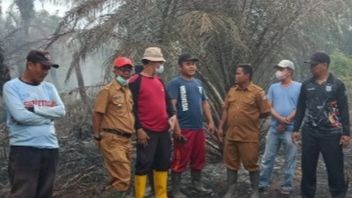 Kabut Asap Kebakaran Lahan Gambut Masih Menyelimuti Sebagian Wilayah Mukomuko
