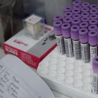 Pemerintah Harus Ungkap Kabar Data  Rapid Test Bocor