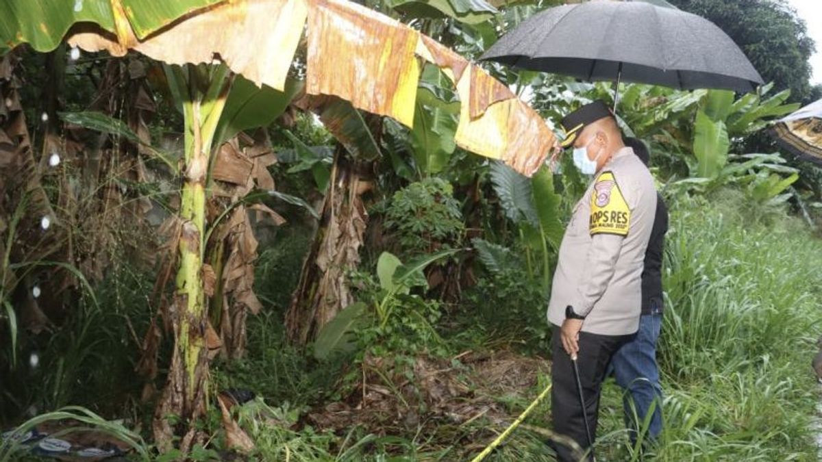 Bau Busuk Ungkap Jasad Misterius di Kebun Pisang Cikupa: Polisi Selidiki Identitas dan Dugaan Pembunuhan