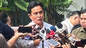 Yusril Ihza Mahendra：解散Nobar Flm“猪肉派对”不是政府指示