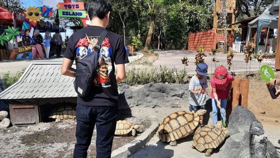 Gibran Donates Turtles To The Solo Safari Animal Collection