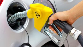 Regarding The Content Of Etanol In Fuel Is It Safe Or Not For Machines? This Is What The Expert Says