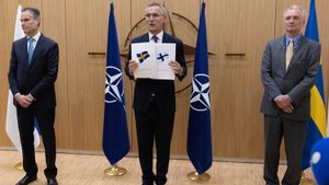 Mayoritas Senat AS Dukung Swedia dan Finlandia Gabung NATO, Senator Demokrat: Perkuat Aliansi