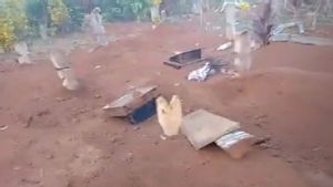 Un troupeau d’éléphants sauvages dans le sud de Lampung, tombé sur le cimetière public