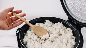 Sering Makan Nasi Sisa? Dokter Ungkap Bahaya Tersembunyi yang Bisa Merusak Otak