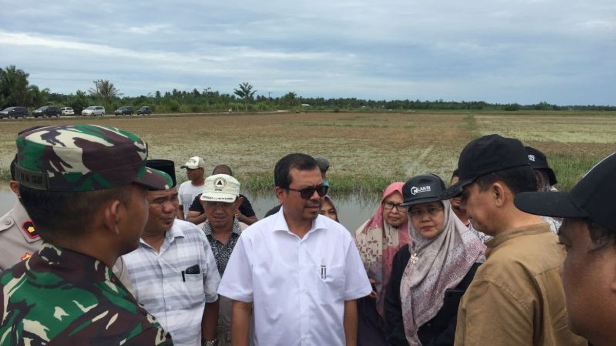 Pj Gubernur: 3.611 Hektare Sawah di Aceh Utara Gagal Panen Akibat Banjir