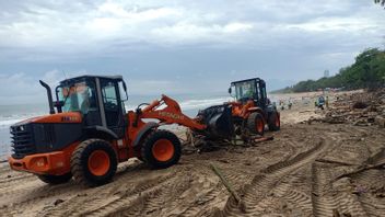 30 Ton Sampah Didominasi Batang Kayu Diangkut dari Pantai Kuta Bali