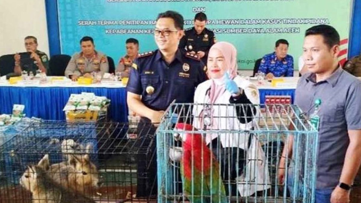 Satwa Barang Bukti Penyelundupan Mati Saat Dititipkan ke BKSDA Aceh