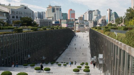 韓国の大学建築のユニークな構造は、鳥が死んで負傷する原因