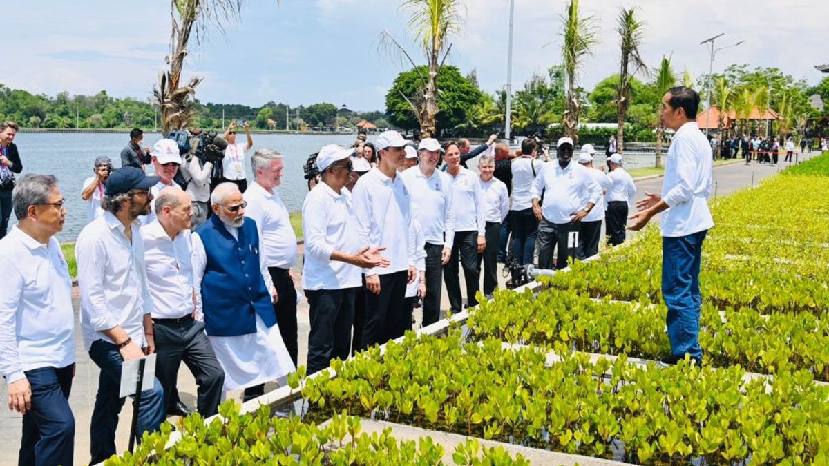 KTT G20 Bali Berkesan, Mahfud MD Ungkap India Bakal Ikuti Indonesia Bikin Program Penghijauan Mangrove 
