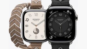 watchOS 26 Beta Bikin Apple Watch Hermes Crash, Apple Minta Pengguna Tahan Diri