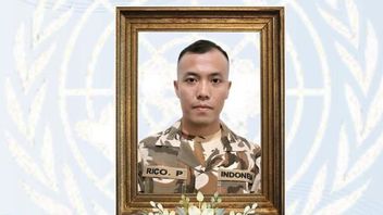 프라카 리코 프라무디아, 의료 치료 중 사망, 국방부 슬픔