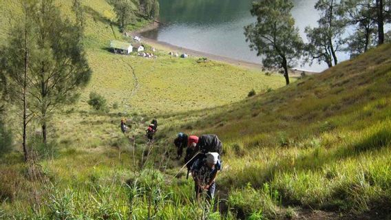 Ingat Ya, Gunung Semeru Ditutup Total Sampai 31 Maret 2021