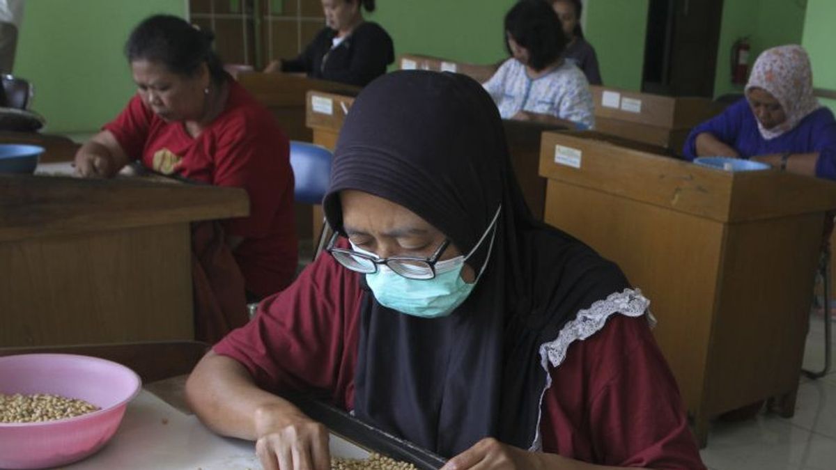 Pemprov Jateng Tingkatkan Produksi Kedelai Lokal Berprotein Tinggi