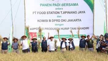 تدعو محطة الغذاء اللجنة B من DKI جاكرتا DPRD إلى عقد حصاد الأرز في كاراوانغ