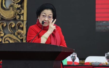 Gunung Semeru Erupsi, Megawati Instruksikan Baguna PDIP Bantu Korban Terdampak