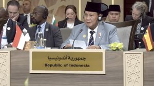 Supporting Palestinian Independence, Prabowo: Indonesia Is Ready To Play A Role In Ceasefire Efforts In Gaza