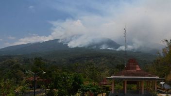 BPBD East Java Urges Central Java To Beware Of Mount Lawu Forest And Land Fires That Continue To Expand