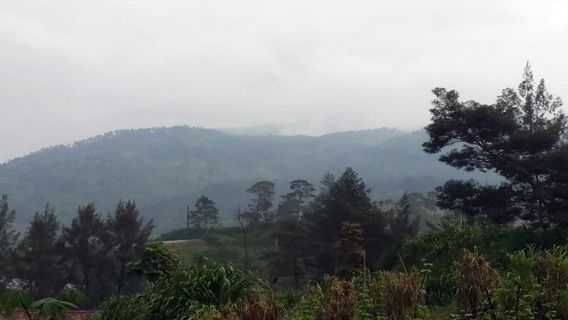 Kabar Gembira untuk Pendaki, Jalur Wisata Pendakian Gunung Merbabu Dibuka Hari Ini, Senin, 14 Juni