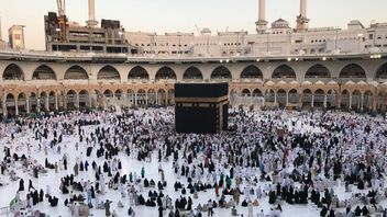 Le Ministère de la distribution de la nourriture au sommet du Hajj est incontrolable