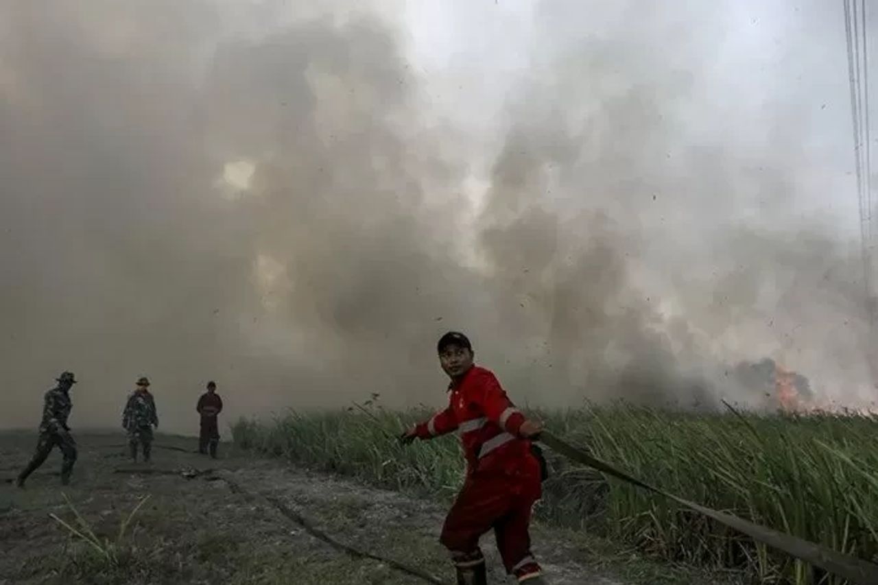 クランダサンウル東カリマンタンで火災、5人の幼児を含む64人の犠牲者が避難
