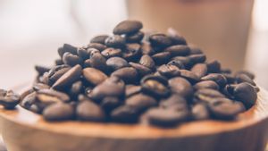 Lama Menghilang, Coffea Stenophylla Bisa Jadi Harapan Baru Petani Kopi