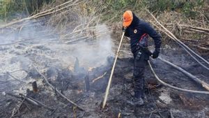 Perlu 6 Jam untuk BPBD Padamkan Kebakaran 3 Hektare Kebun Warga di Kotim